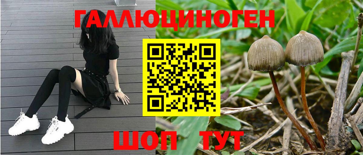 Псилоцибиновые грибы Psilocybine cubensis  Вход с VPN  Галлюциногенные грибы ЛСД  Первоуральск 