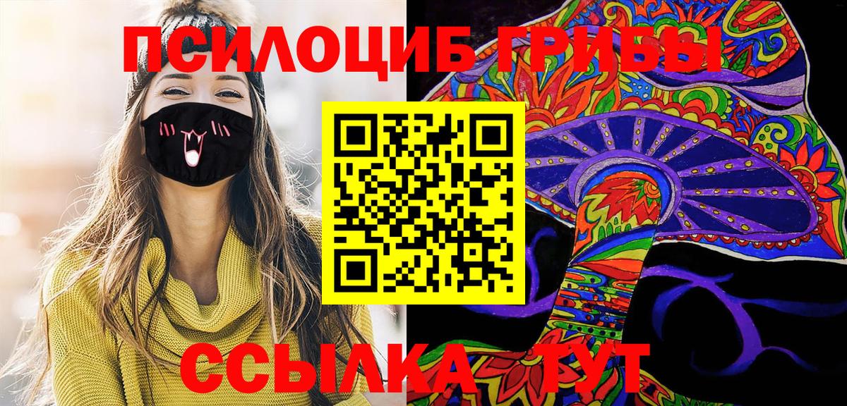 Псилоцибиновые грибы Psilocybe Первоуральск